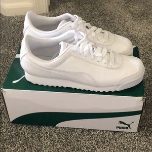 white pumas